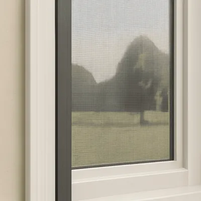 Window Screen Installation and Repair in Bellevue, WA