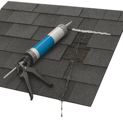 Roof Leak Repair in Seattle, WA
