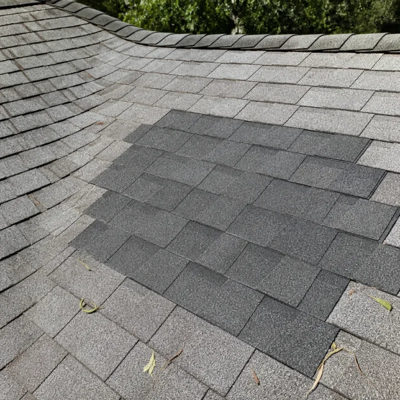 Storm Damage Roof Repair in Seattle, WA