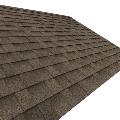 Shingle Roof Replacement in Bellevue, WA